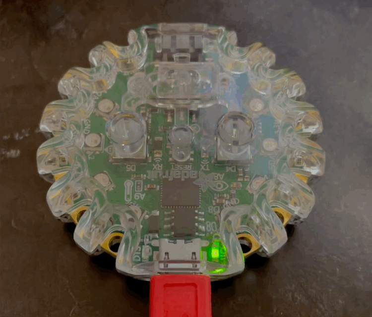 CPX hw no.01, question #7, showing neopixels 0, 4, and 9 lighting up