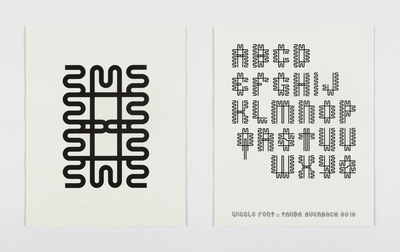 Tauba Auerbach Type Specimen poster example